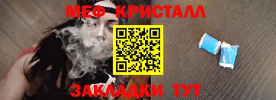 шишки Дубна