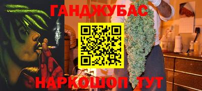 шишки Дубна