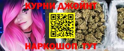 шишки Дубна