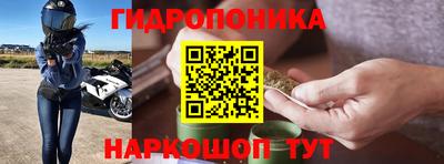 шишки Дубна