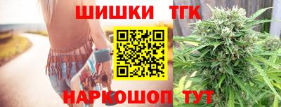 шишки Дубна
