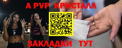 шишки Дубна