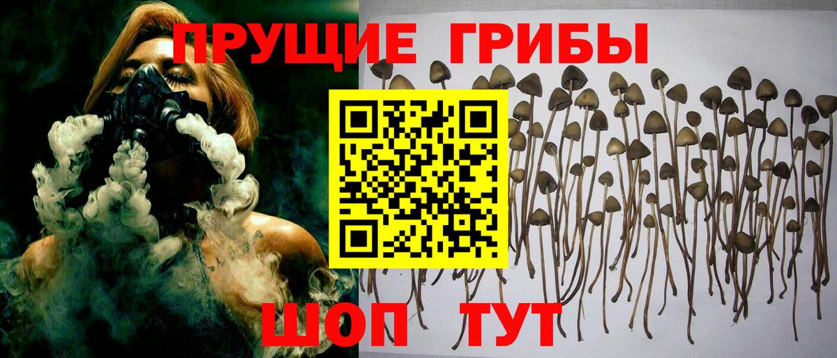 Галлюциногенные грибы мицелий  Вход с VPN  Псилоцибиновые грибы мухоморы  Заринск 